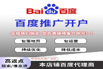 百度推广排名案例报告：某行业巨头如何运用其占领市场高地